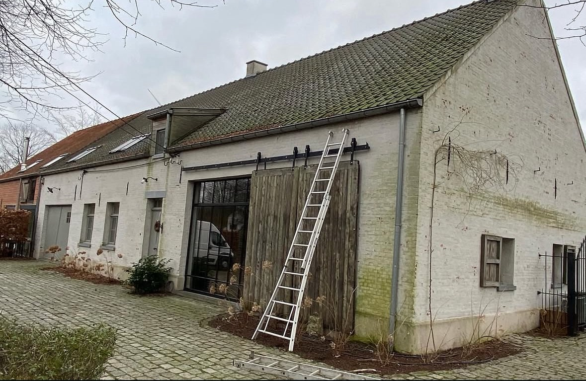Dakreiniging + Anti-mosbehandeling Olen voor